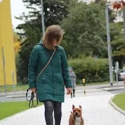 Dixie jde u nohy bez vodítka