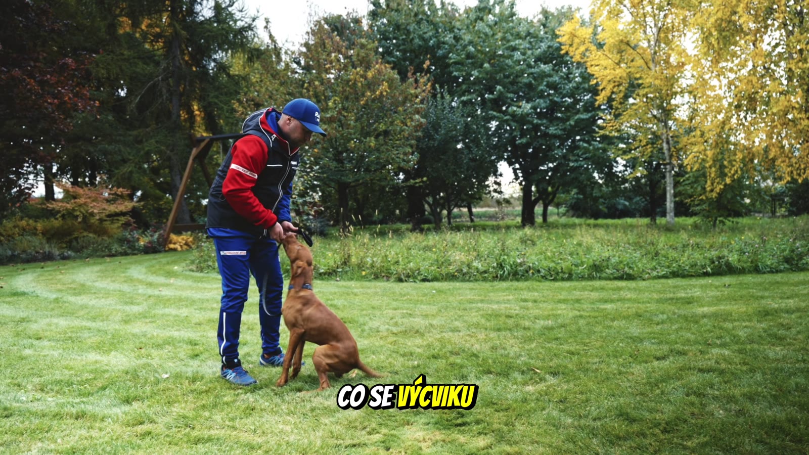 Adam trénuje ohaře na zahradě, plakát videa