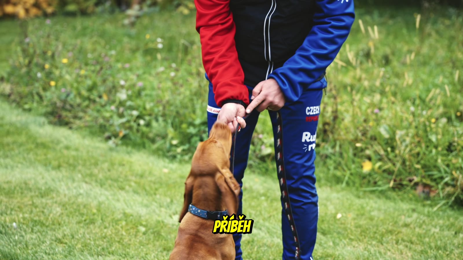 Ohař bere odměnu z Adamovy ruky, plakát ukázky lekce